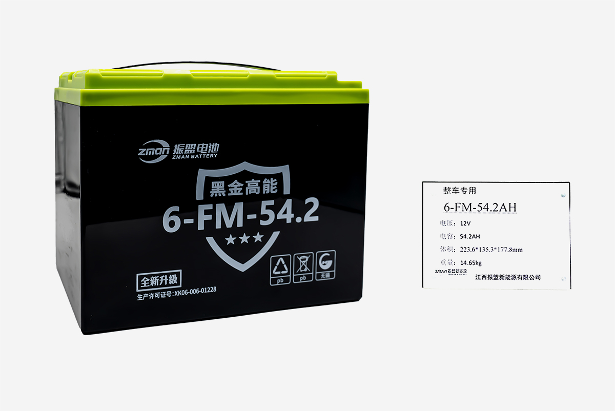 6-FM-54.2AH 12V 54.2AH 黑金系列铅酸蓄电池