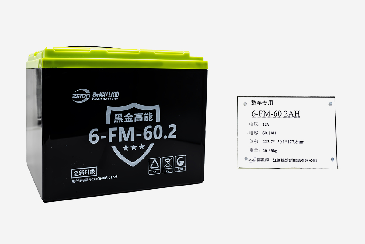 6-FM-60.2AH 12V 60.2AH 黑金系列铅酸蓄电池