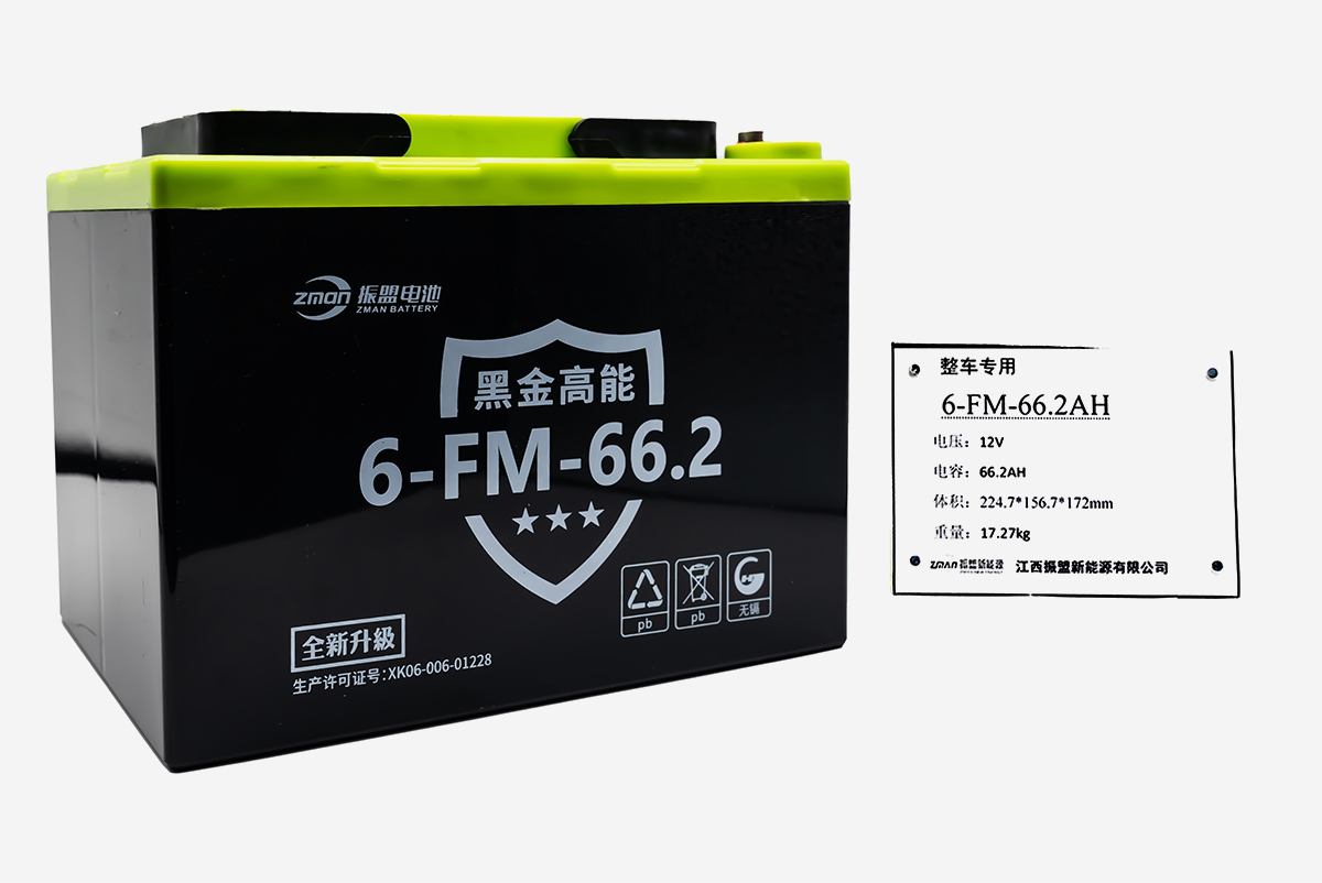 6-FM-66.2AH 12V 66.2AH 黑金系列铅酸蓄电池